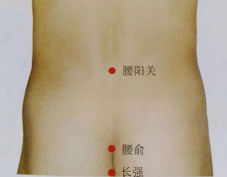 1068fe4f0f1ff409bff6d9df04696dfe