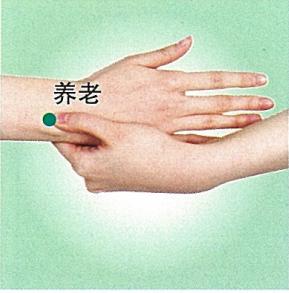 2e4ee1acf65425fb65290ef1f4b4fa08