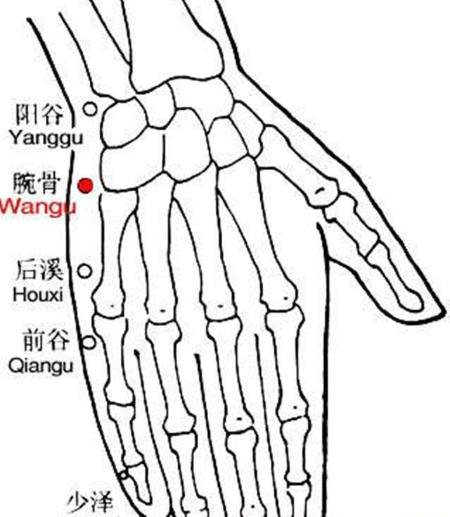 4b5dacee96aec8acd6fdb0e33056d01e