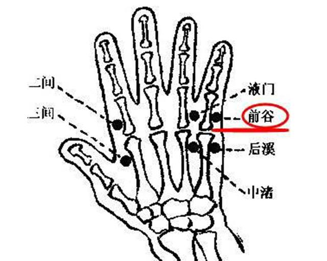 85c30b8cd4bc0b9f4f01ba9fcad585a6