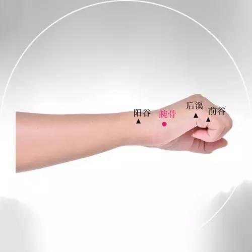 8bb39e17b5ada9deb04966fdd9f0cf1e