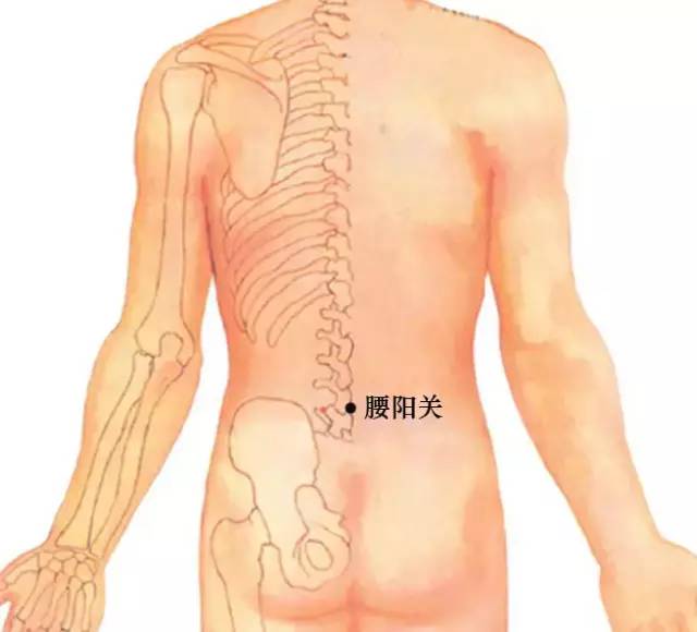 b9b5150080f91ecf42b8c5f4b66784a2