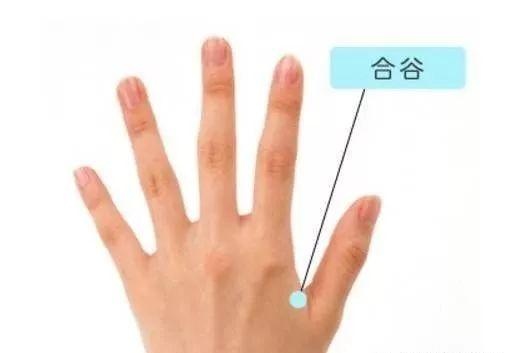 xue1-1543408109 xue1-1543408109