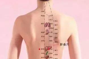 xue6-1543408108 xue6-1543408108