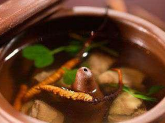 【观点】饶毅：科学是中药研究的必由之路