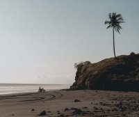 15个要点读懂公立中医医院综合改革