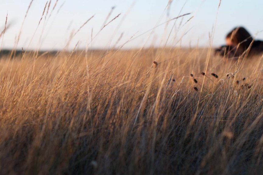 关于对2019-2021年创建周期县(市、区)级全国基层中医药工作先进单位候选地区的公示