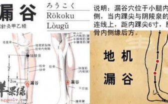 认识身体健康的保护神——脾经，敲打脾经的妙法