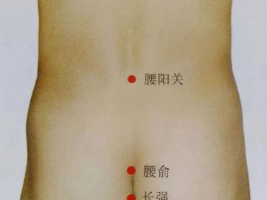腰阳关的准确位置图和功效作用
