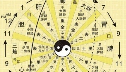 子午流注|神秘商贩透露六十六穴的归经秘诀