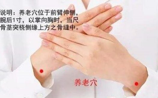 养老穴的准确穴位图及作用