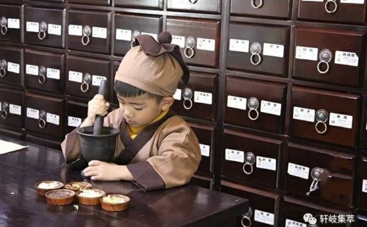 不可学中医的十三种人