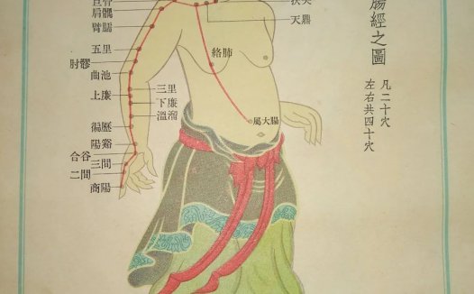 精美的彩版十四经穴图