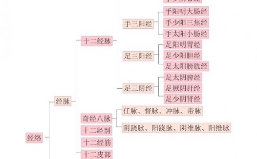 汤头歌诀之十二经脉歌 十二经脉歌诀必背