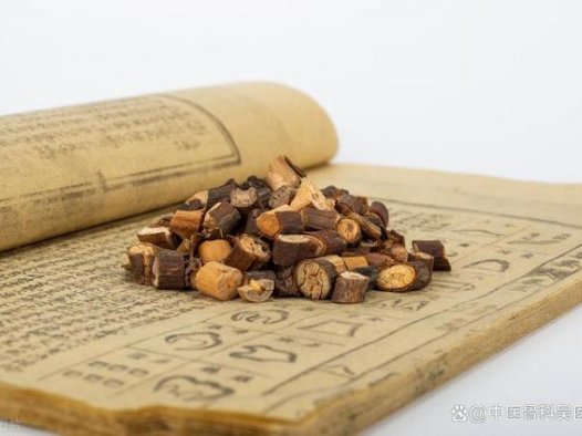 注意：以下中医名词是必须懂的！