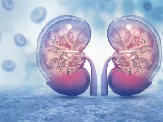 为何“尿毒症”越来越多？