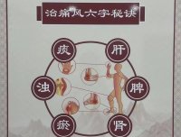 易医医派痛风五行绿色疗法