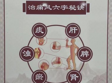 易医医派痛风五行绿色疗法