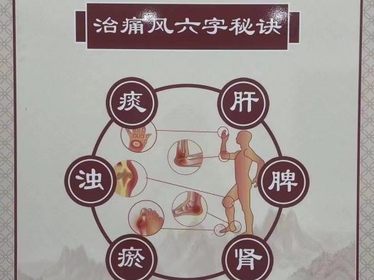易医医派痛风五行绿色疗法